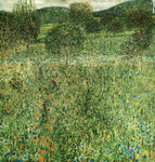 flowering field