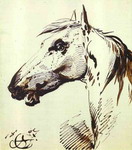 Head of a Horse.