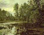 the overgrown pond. domotcanovo.