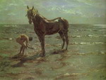 bathing of a horse.