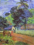 horse on road. tahitian landscape.